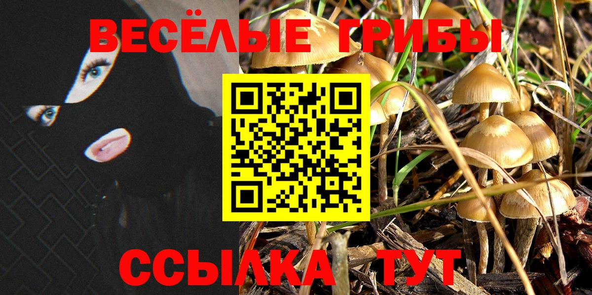 Галлюциногенные грибы MAGIC MUSHROOMS  Вход с VPN  наркота  Оренбург 